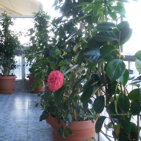 Athens Penthouse Cosy Apartment Buitenkant foto