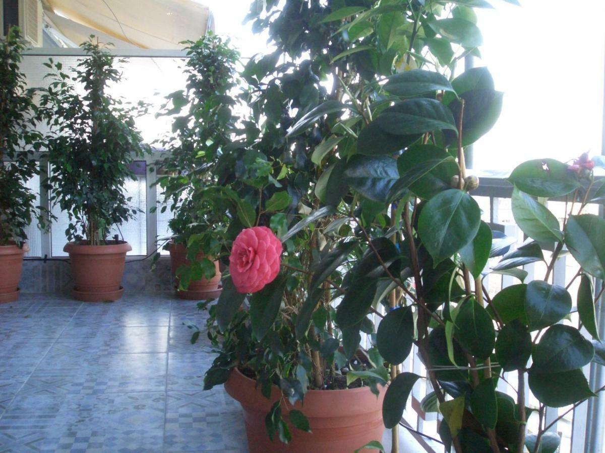 Athens Penthouse Cosy Apartment Buitenkant foto