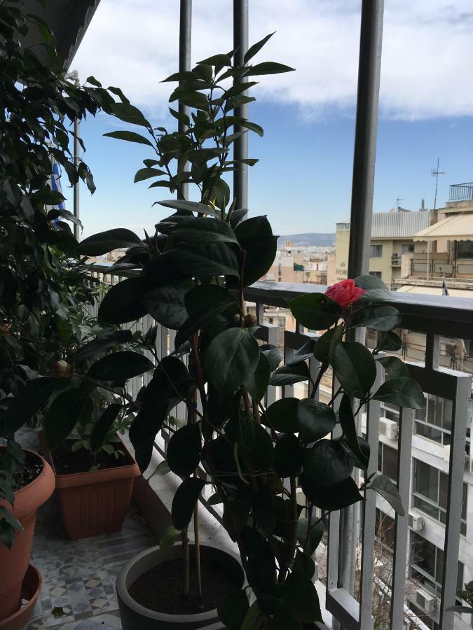 Athens Penthouse Cosy Apartment Buitenkant foto